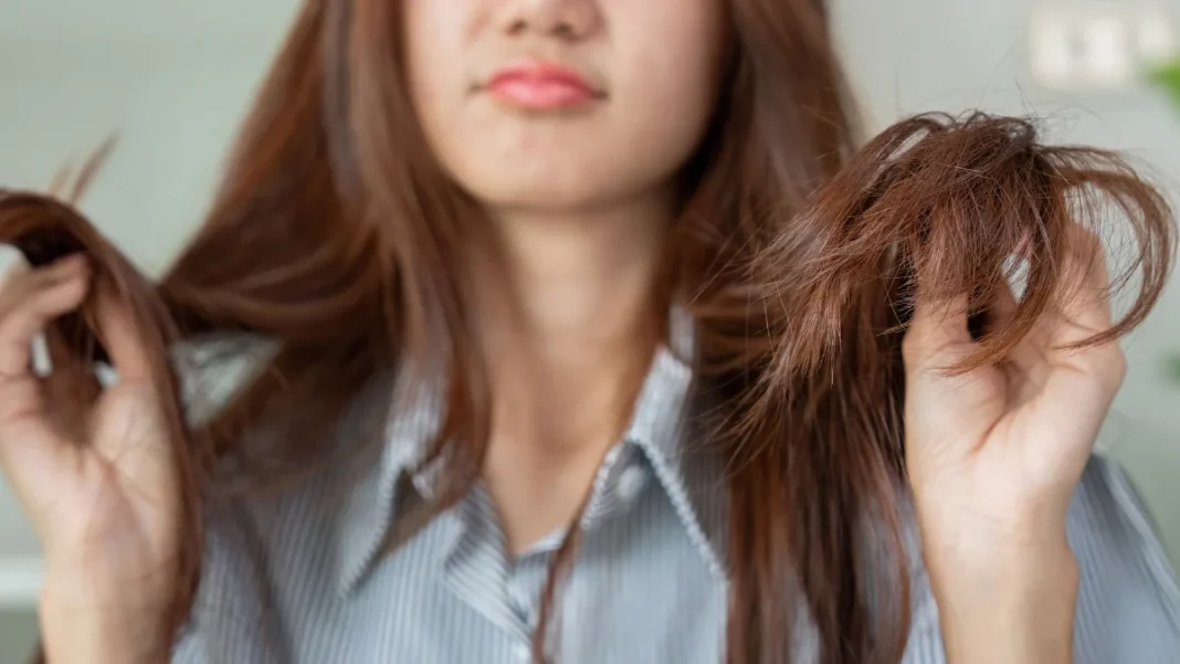 Anti-Frizz Hair Care Tips for Pakistani Girls (Roman Urdu Guide)